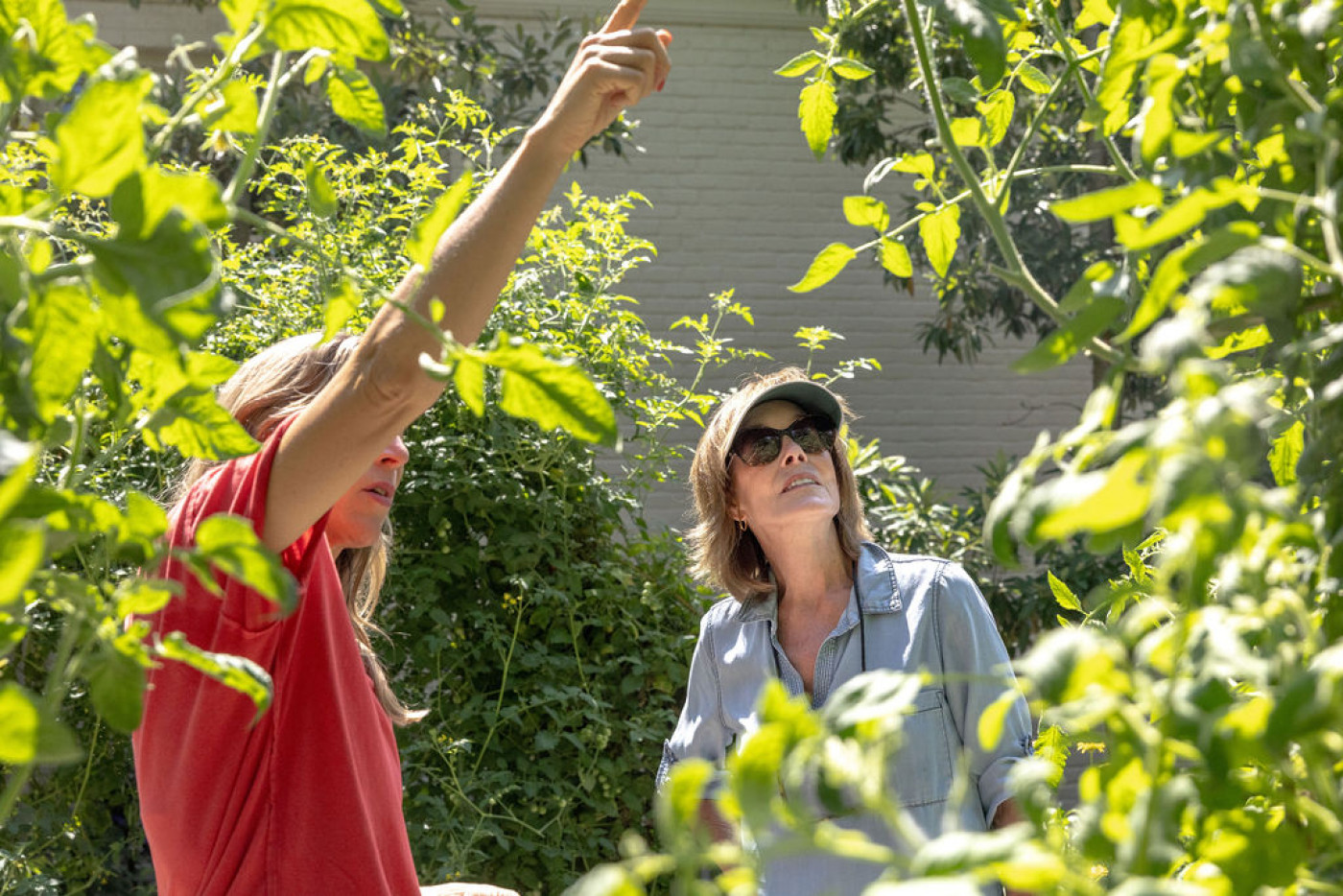 Garden Consultation