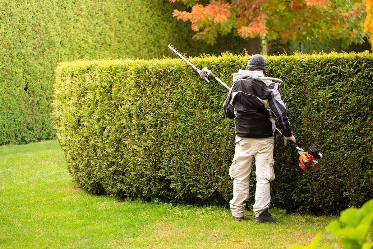 General Landscaping Maintenance